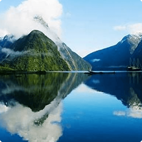 Why study in New Zealand